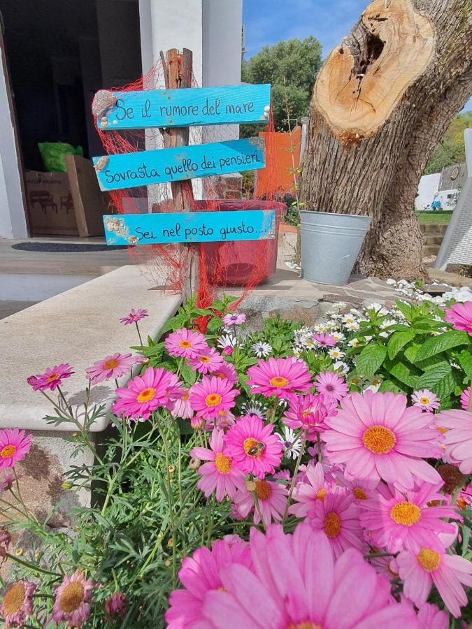 فيلا Sweethouse Pula Porto Columbu - Perd'E Sali المظهر الخارجي الصورة